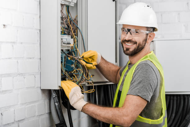 Best Electrical System Inspection  in Trowbridge Park, MI