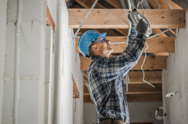 Best Best Electricians Near Me  in Trowbridge Park, MI