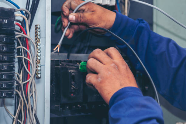 Best Local Electrician Companies  in Trowbridge Park, MI